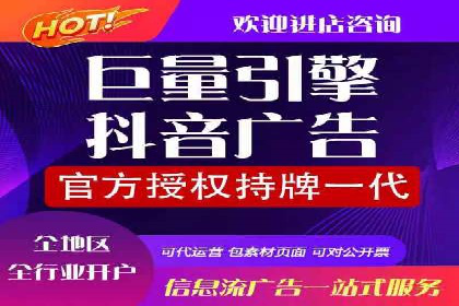 实战解析：百度竞价排名服务成功案例